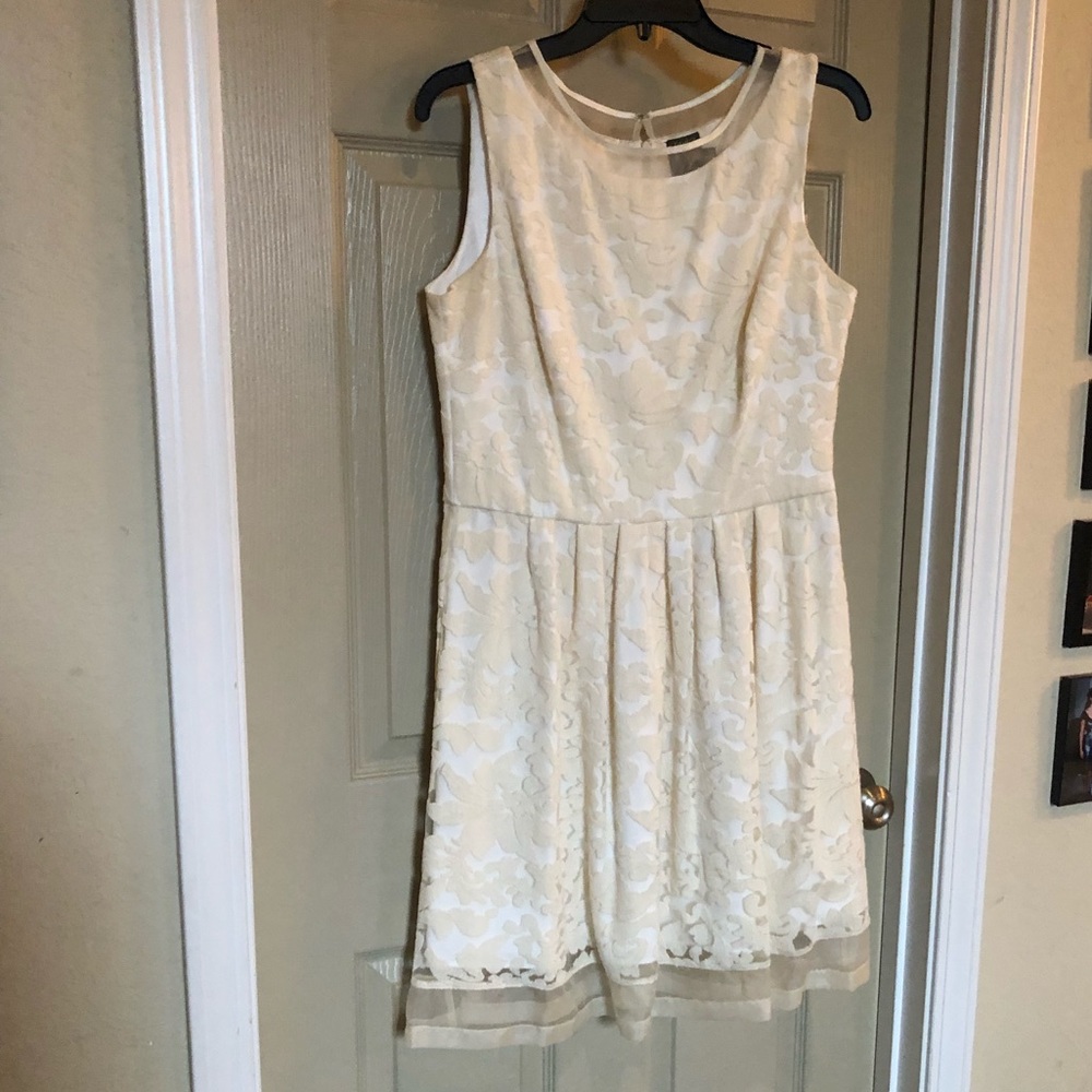 White lace overlay Taylor dress. Worn once.